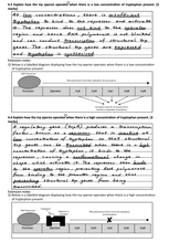 Load image into Gallery viewer, Solution for trp operon question in the Biology Question Book resource for VCE Biology