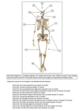 Load image into Gallery viewer, Changes in hominid features over time question in the Biology Question Book resource for VCE Biology