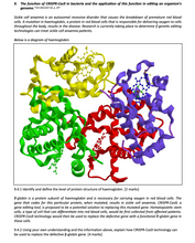 Load image into Gallery viewer, CRISPR-Cas 9 question in the Biology Question Book resource for VCE Biology