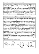 Load image into Gallery viewer, Solution for the steps of the allergic response in the Biology Question Book resource for VCE Biology