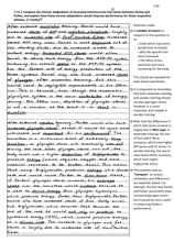 Load image into Gallery viewer, P.E Question Book | VCEWeb